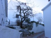 El mundo animal, vegetal y mineral. Comares, M�laga